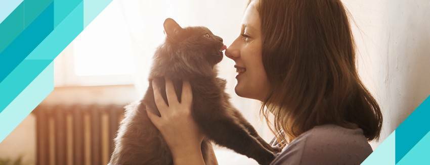 Having a cat is good for your soul