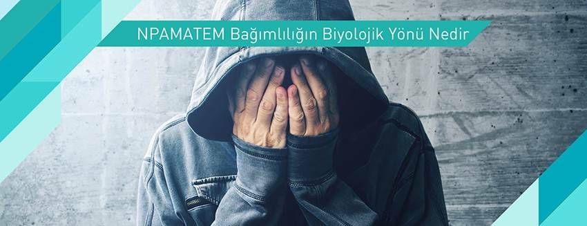 NPAMATEM Bağımlılığın Biyolojik Yönü Nedir