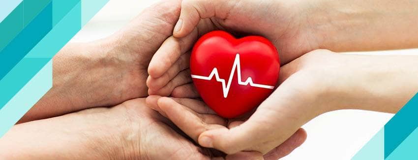 Organ Bağışı Nedir, Nasıl Gerçekleştirilir