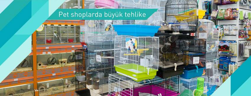Petshop’lar tehlike saçıyor