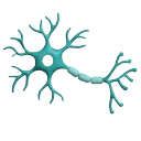 Tıbbi birimler - Neurology