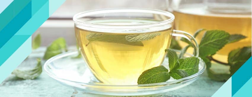 What are the Benefits and Harms of Lemon Balm Tea?