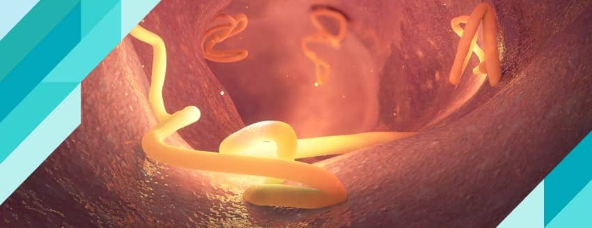 Bağırsak Enfesksiyonu Nedir?