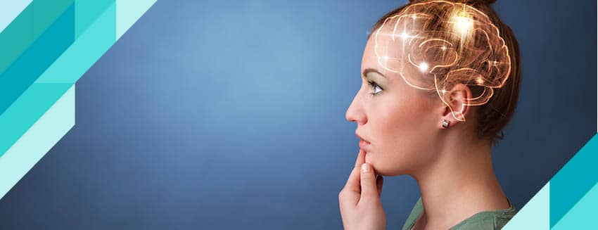 Our Brain and Its Functions