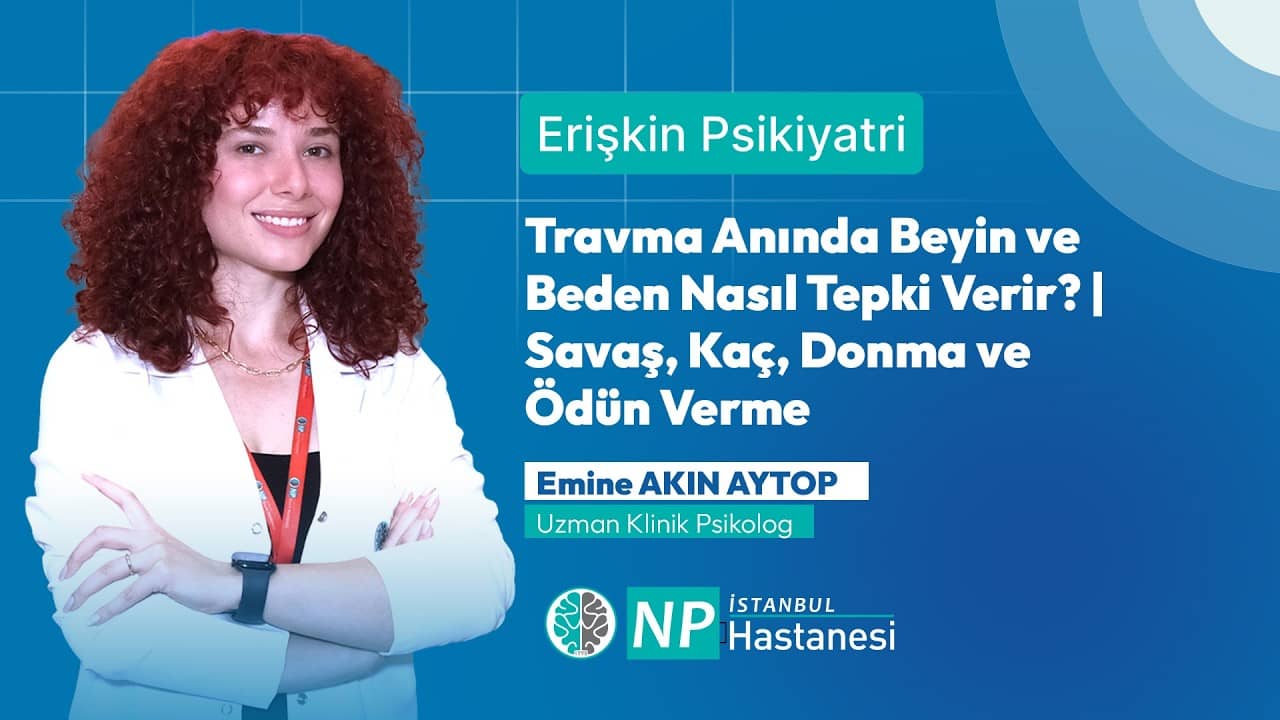 Travma Anında Beyin ve Beden Nasıl Tepki Verir? | Savaş, Kaç, Donma ve Ödün Verme